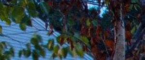 Apartments In Glen Allen Va Abberly Twin Hickory Home