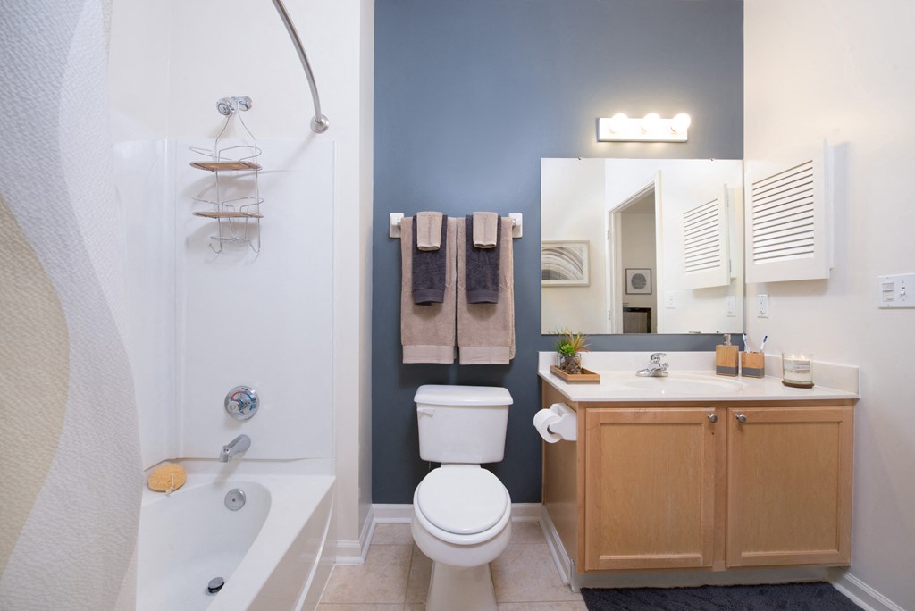 a bathroom with a shower toilet and sink and a mirror