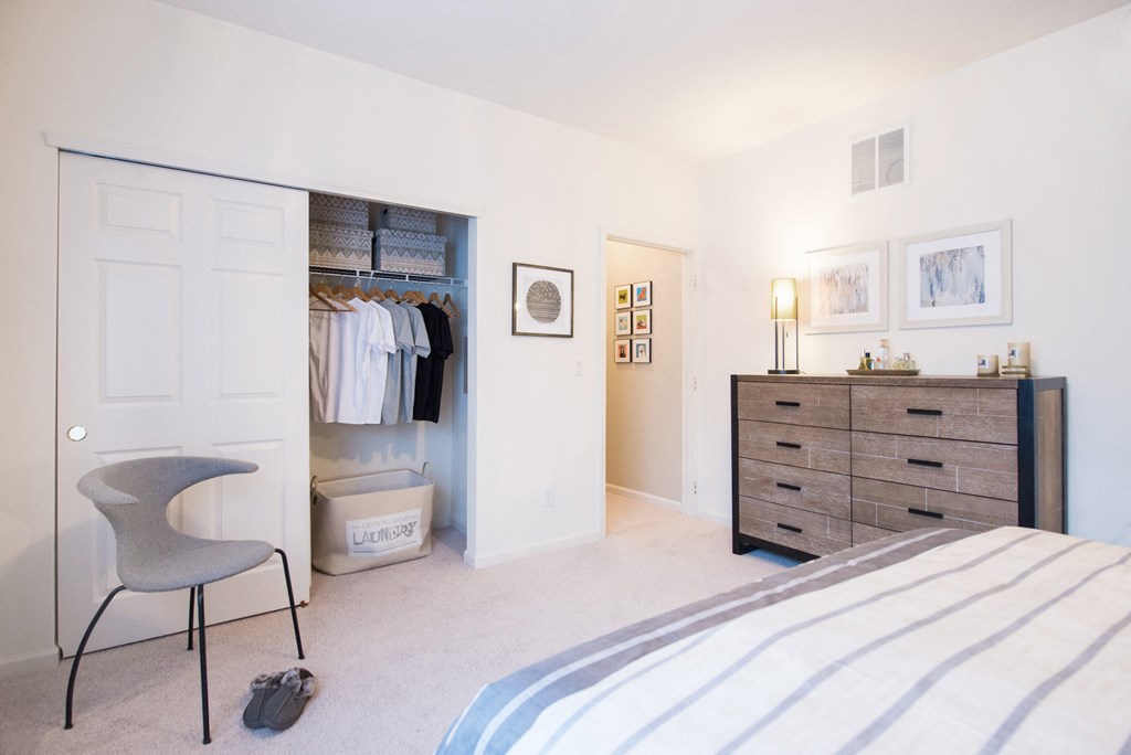 a bedroom with a closet and a bed and a dresser