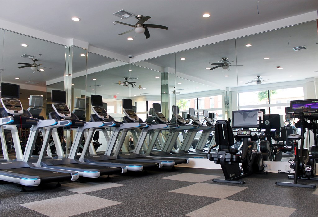 a room filled with cardio equipment and a lot of windows