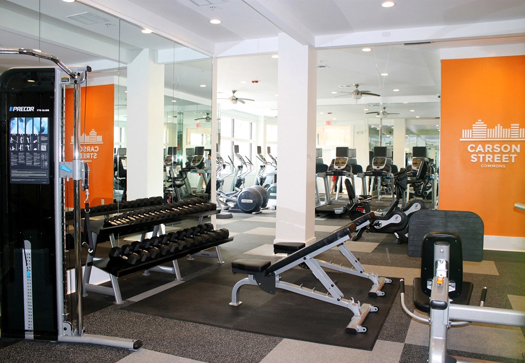 a state of the art gym with cardio machines and weights