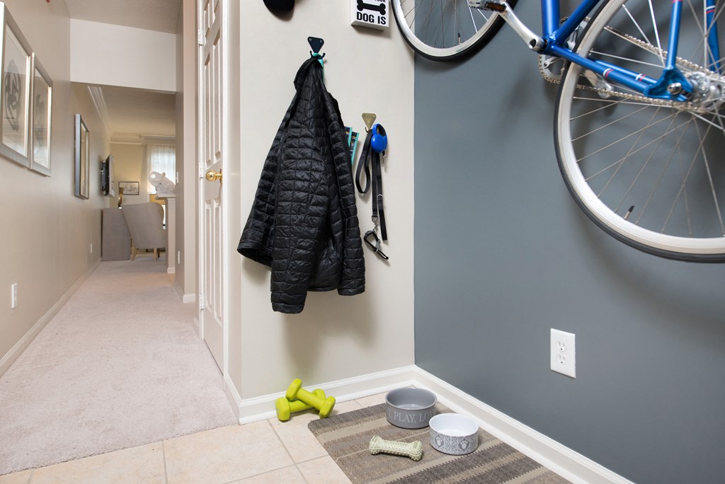a hallway with a bike hanging on the wall and a hose on the floor