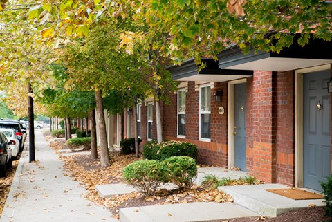 carson street commons 7