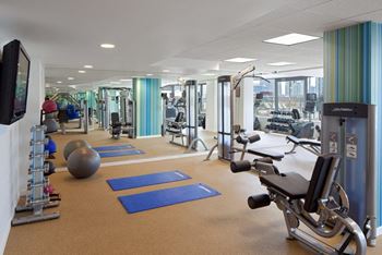 Fitness Center With Modern Equipment at Kingsbury Plaza, Illinois