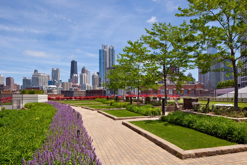 Green lawn terrace area with walkway, trees, tables and chairs at Kingsbury Plaza, Chicago, Illinois