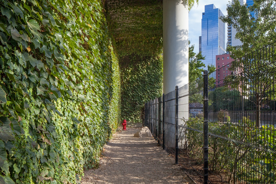 Outdoor dog run with living green wall and gated area at Kingsbury Plaza, Chicago, Illinois