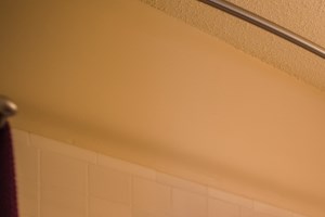Welcome To Grande Oasis Carrollwood Tampa Apartments