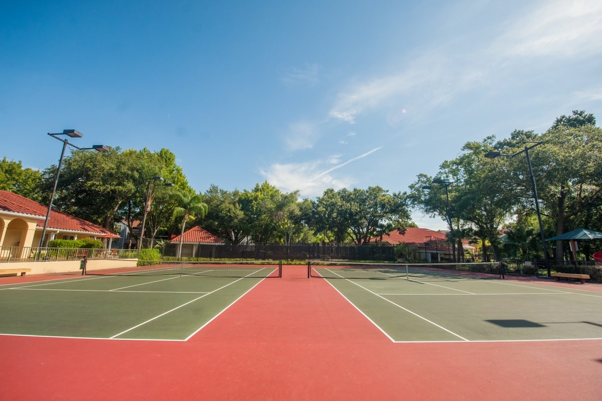 Welcome To Grande Oasis Carrollwood Tampa Apartments