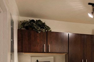 955 South Columbus Street 1-3 Beds Apartment, Condo, Home for Rent - Photo Gallery 2