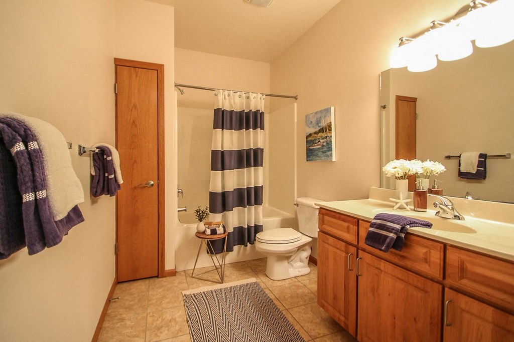 a bathroom with a sink toilet and a shower