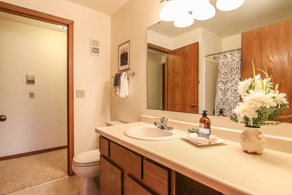 a bathroom with a sink and a toilet and a mirror