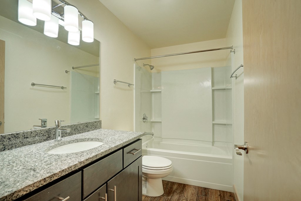 the preserve at ballantyne commons apartment bathroom with sink toilet and shower