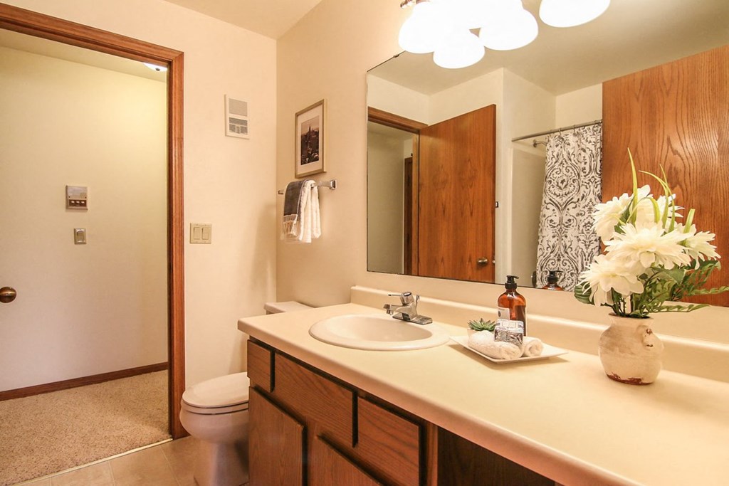 a bathroom with a sink and a toilet and a mirror