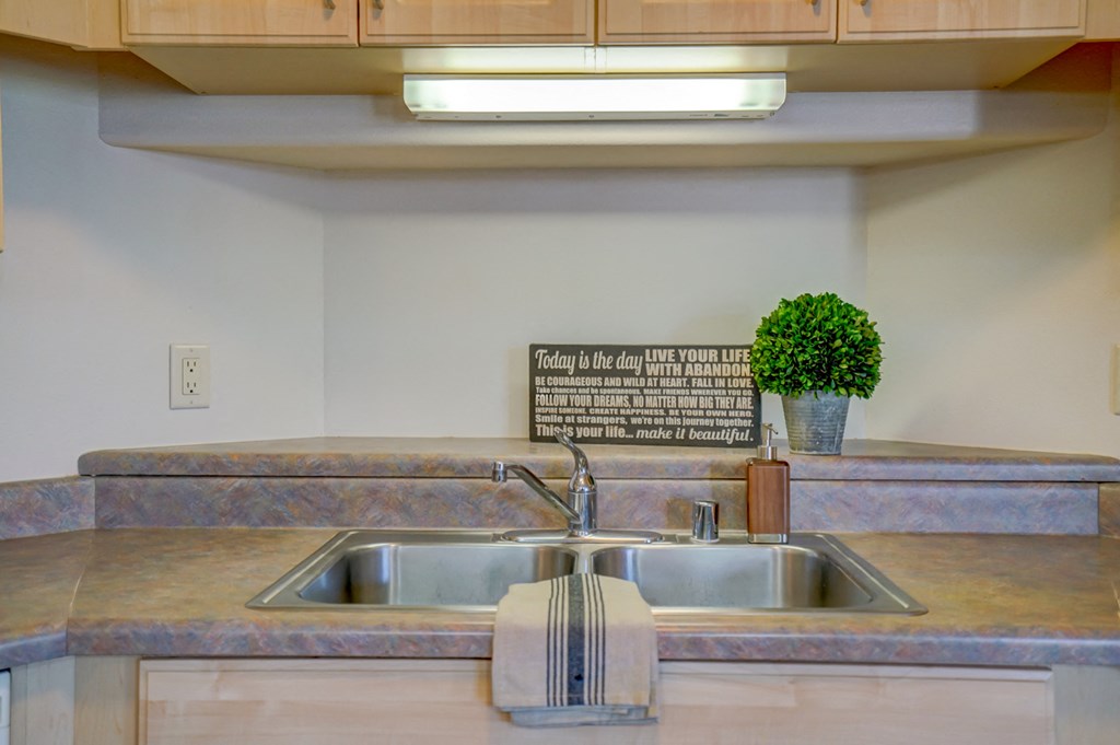 a kitchen sink with a faucet and a plant