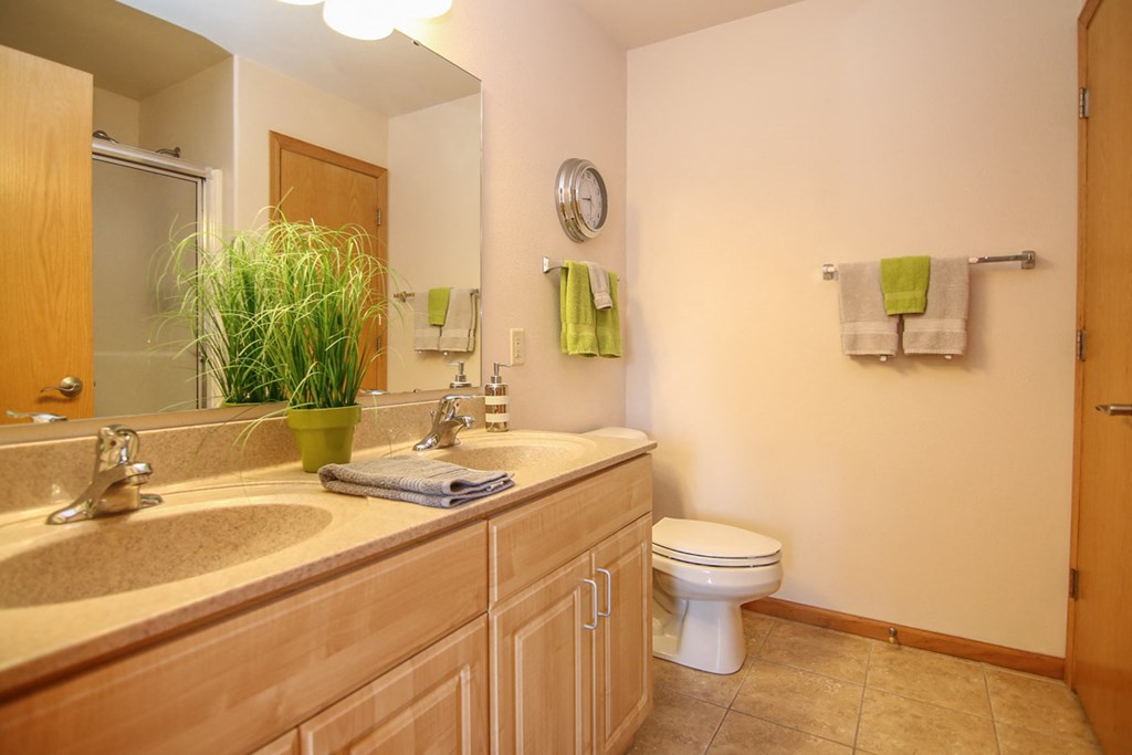a bathroom with a toilet and a sink