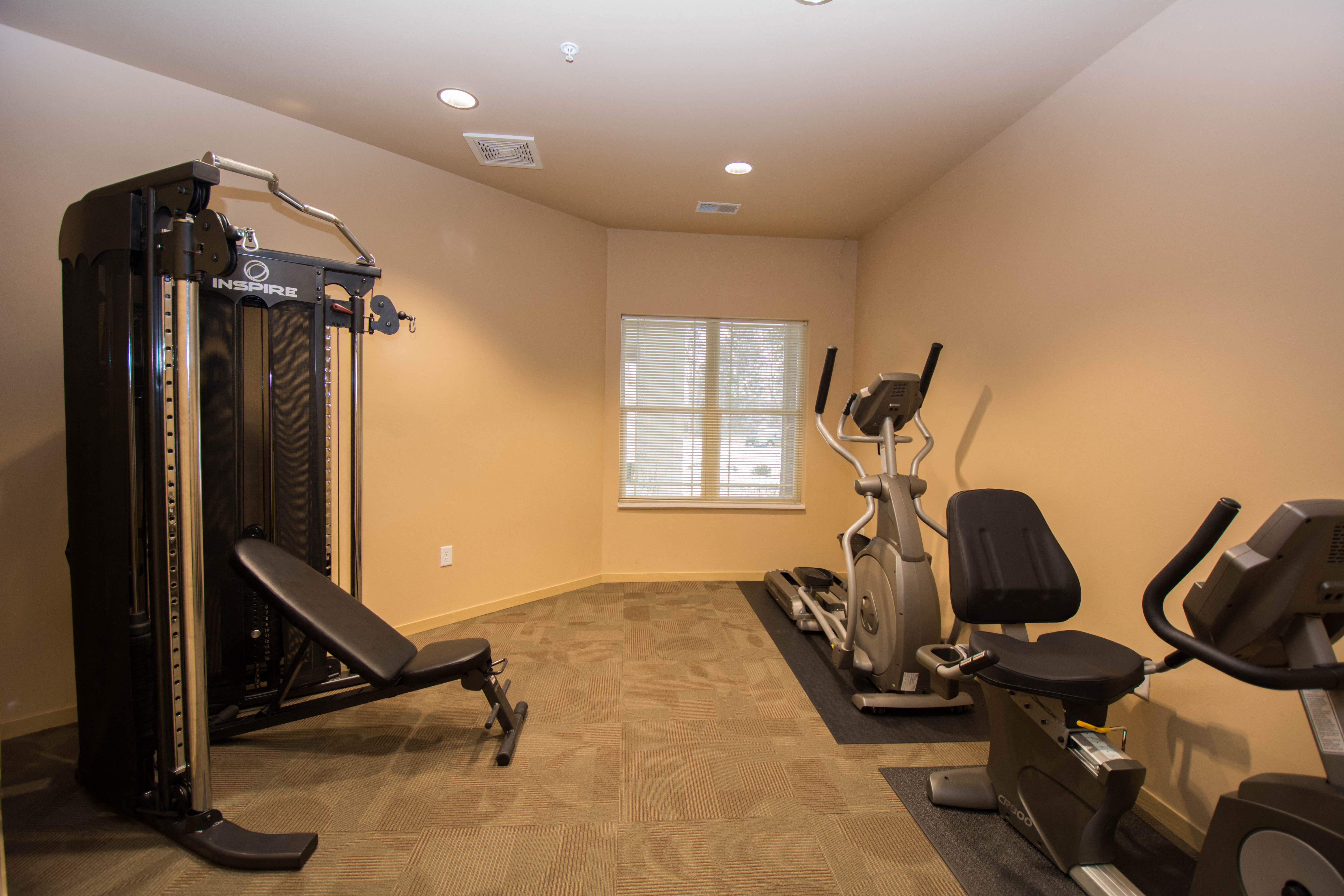 a home gym with treadmills and exercise equipment