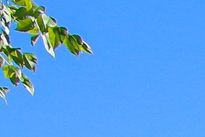 Grounds - Photo Gallery 3