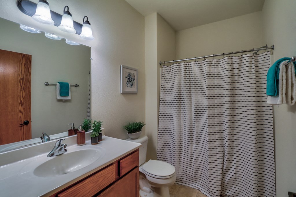 a bathroom with a sink toilet and a shower