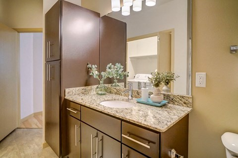 a bathroom with a sink and a mirror
