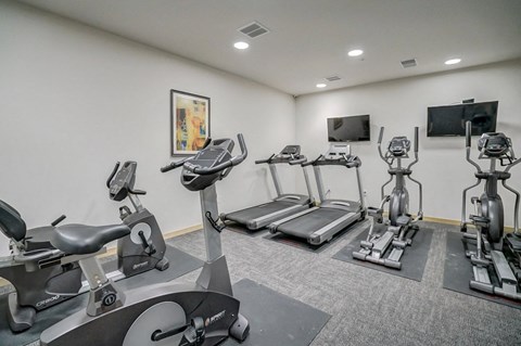 the gym is equipped with cardio equipment and weights