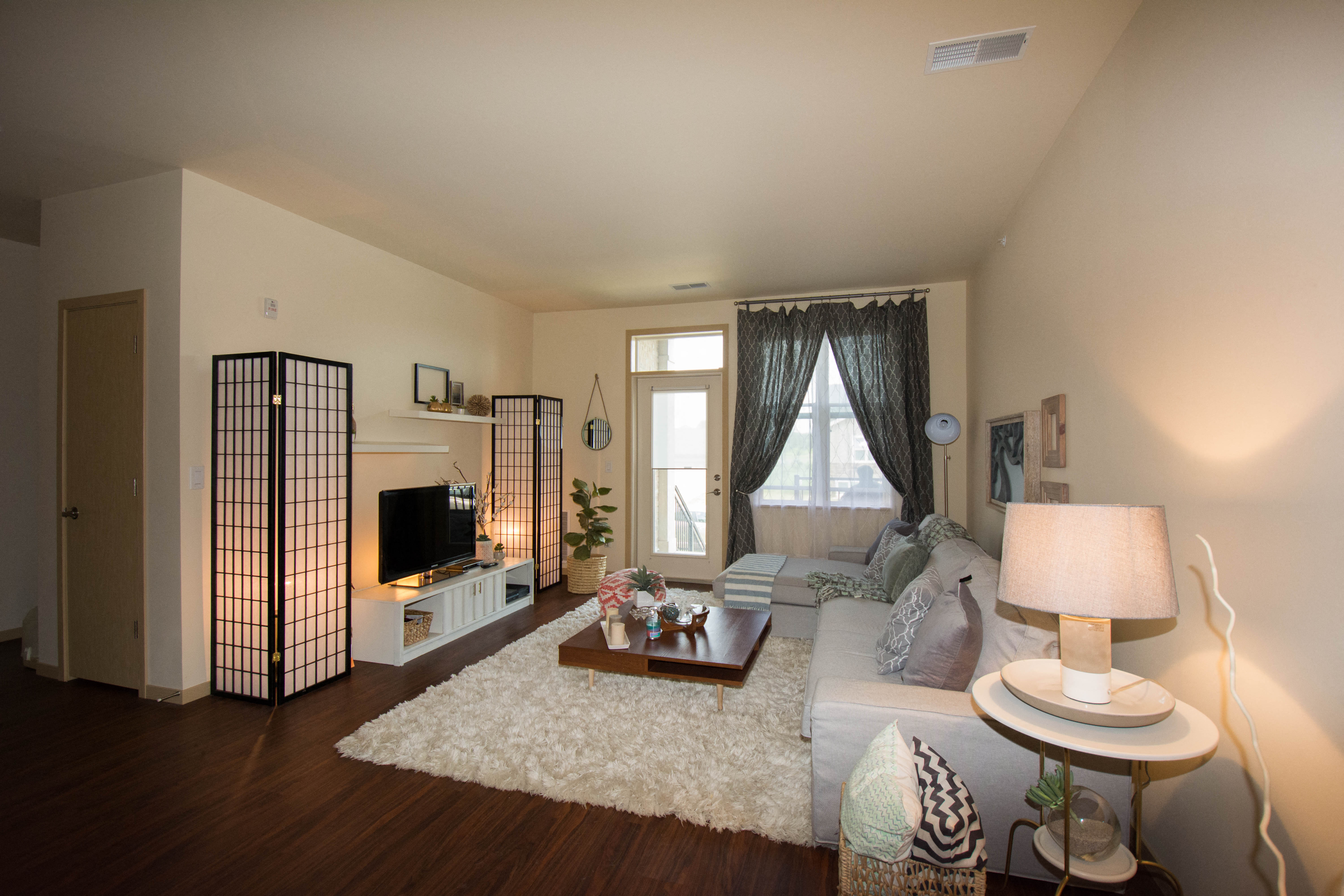 a living room with a white rug and a white couch
