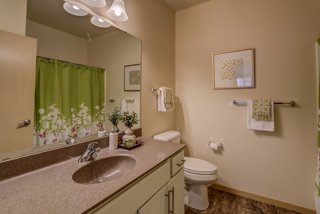 a bathroom with a sink and a toilet and a mirror