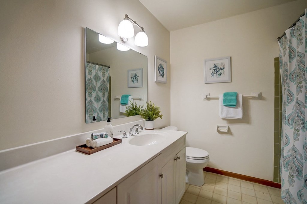 a bathroom with a sink and a toilet and a mirror