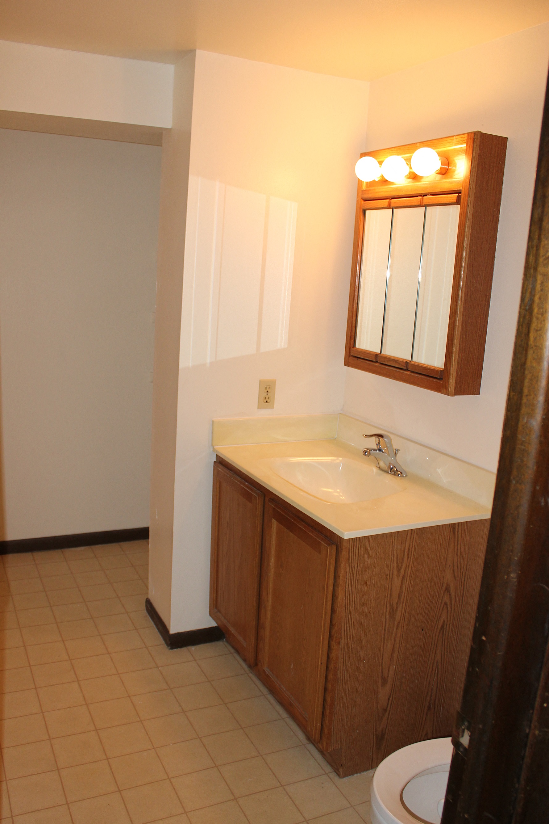 a bathroom with a sink and a mirror and a toilet