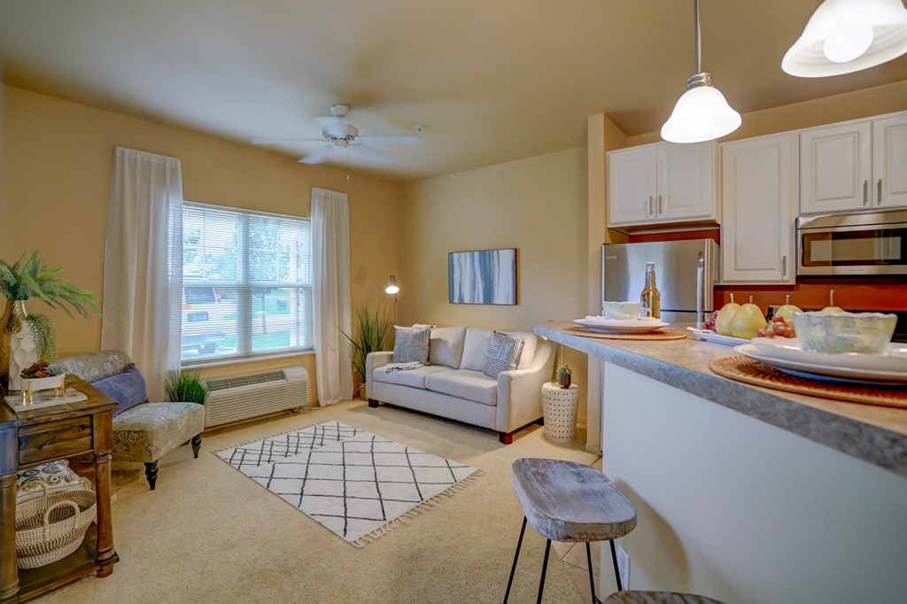 a living room with a kitchen and a couch