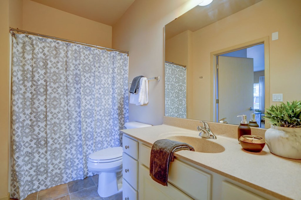 a bathroom with a sink and a toilet and a shower