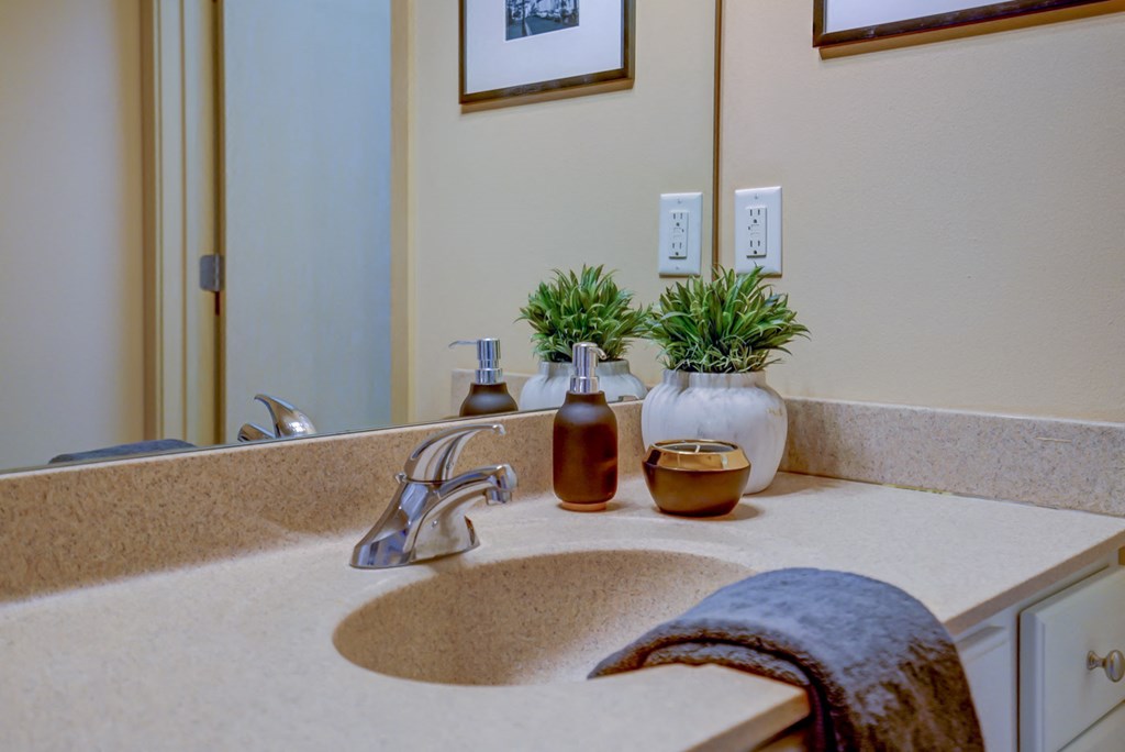 a bathroom with a sink and a mirror