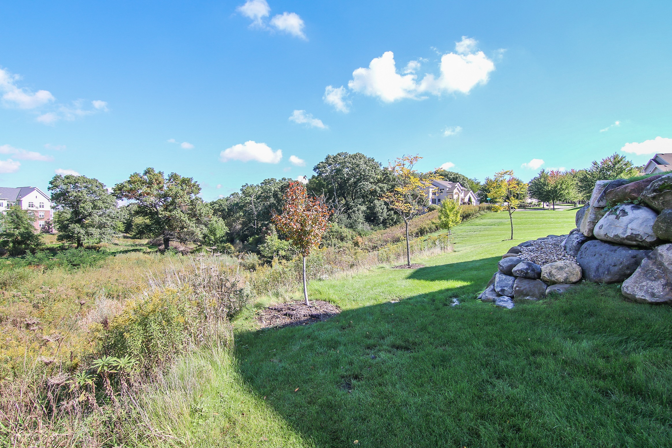 a grassy field with a stone wall and trees in the background