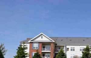 our apartments are located in a large grassy area with trees