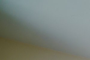 335 Blackberry Lane Studio-2 Beds Apartment for Rent - Photo Gallery 4