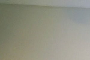 Quality Talc 1 Bedroom Apartments for Rent in Verona, WI - Updated Daily