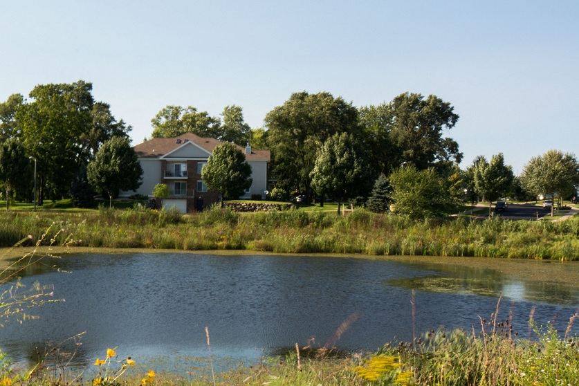 a pond with a house in the background