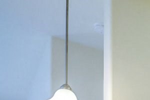 8301 Flagstone Drive 1-2 Beds Apartment for Rent - Photo Gallery 5