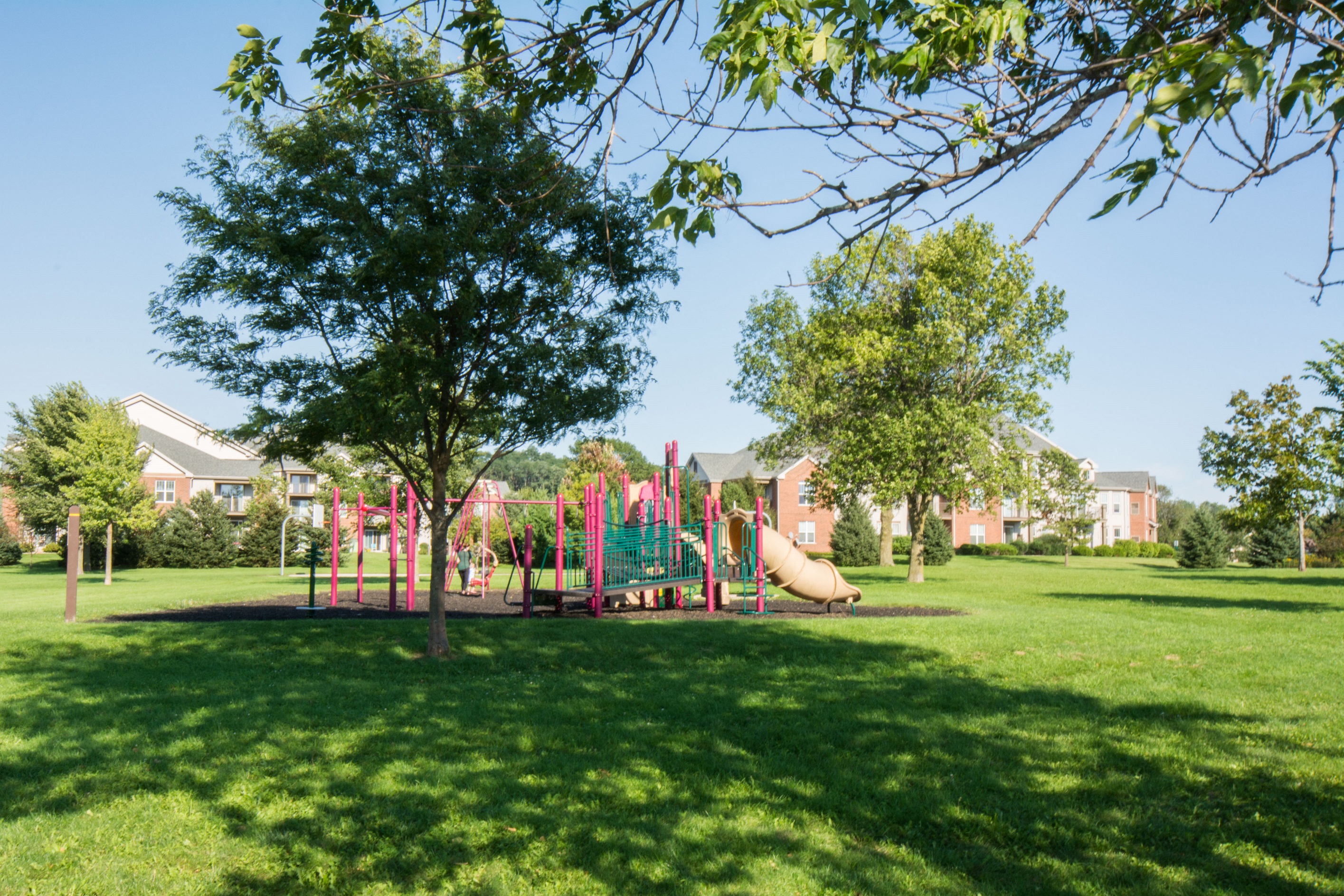 a playground with a slide in a park with trees