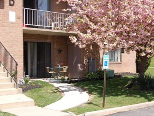 a pink flowering tree in front of a building