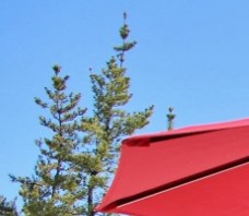 Apartments Homes For Rent Cottonwood Az Apartments Homes For Rent Cottonwood Az