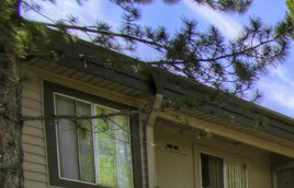 Pine View Village Apartments 700 South Blackbird Roost Flagstaff Az Rentcafe
