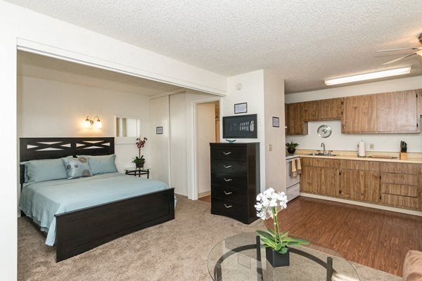 pine view village apartments