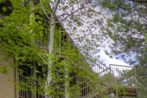Woodlands Village Apartments Flagstaff Woodlands Village Apartments Flagstaff