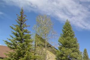 Apartments For Rent Flagstaff Az Apartments For Rent Flagstaff Az