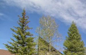 Off Campus Nau Apartments Flagstaff University Square Apartments