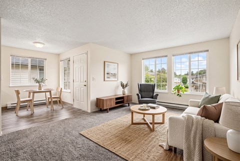 A living room with a grey carpet and a brown rug.