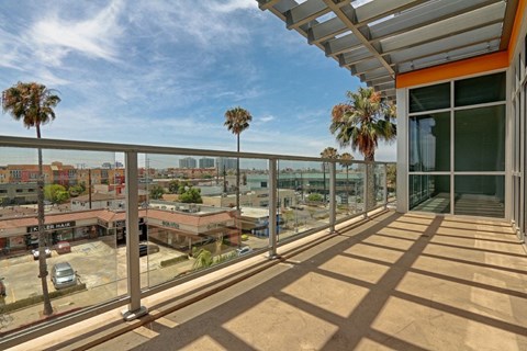 A balcony with a metal railing and palm trees in the background.