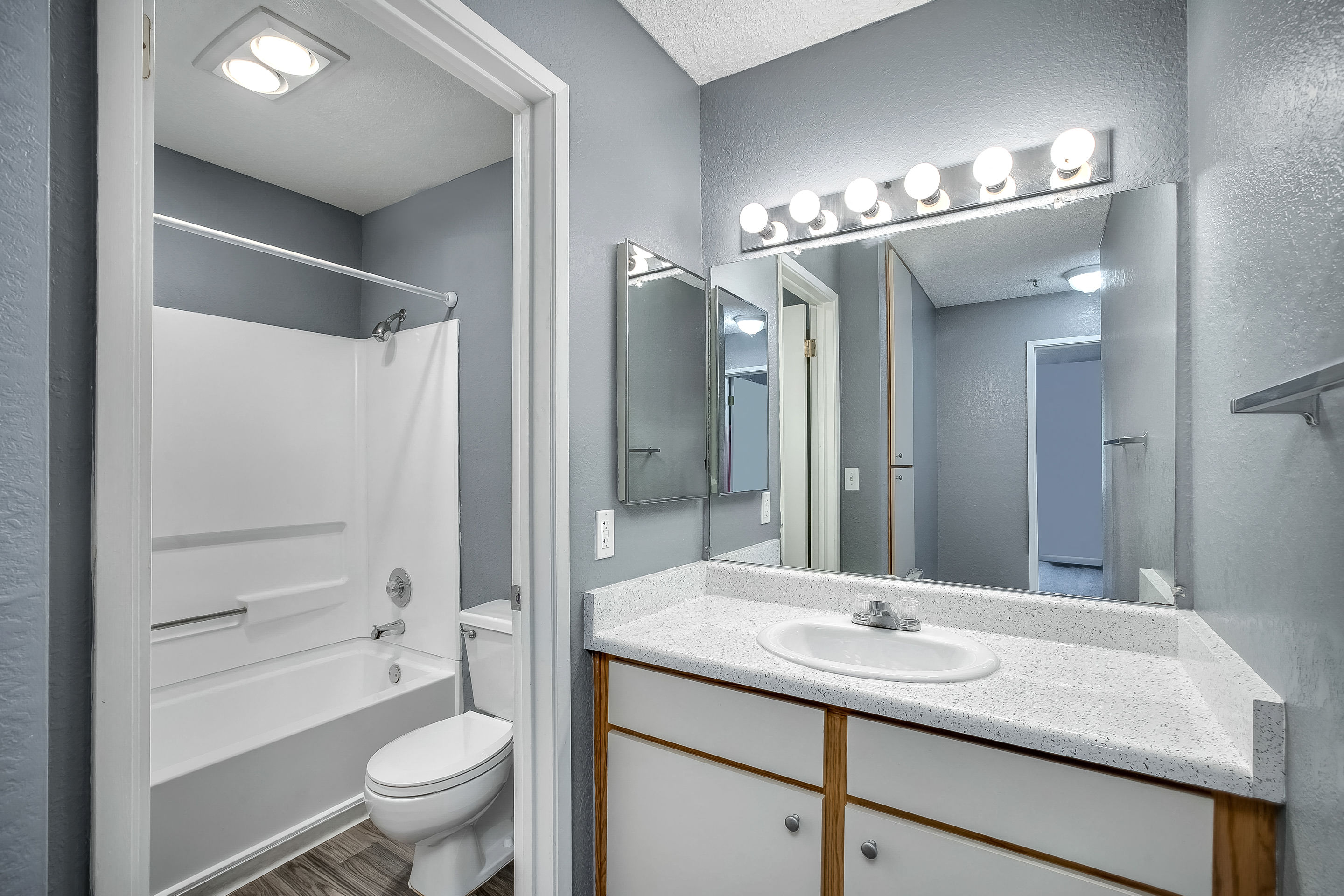 Newark Apartments for Rent - Alderwood Park - Gray Bathroom with Bathtub and Vanity