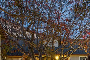 Cheap Apartments In Newark Ca Cheap Apartments In Newark Ca