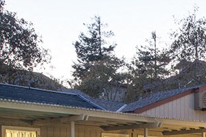 Cheap Apartments In Newark Ca Cheap Apartments In Newark Ca